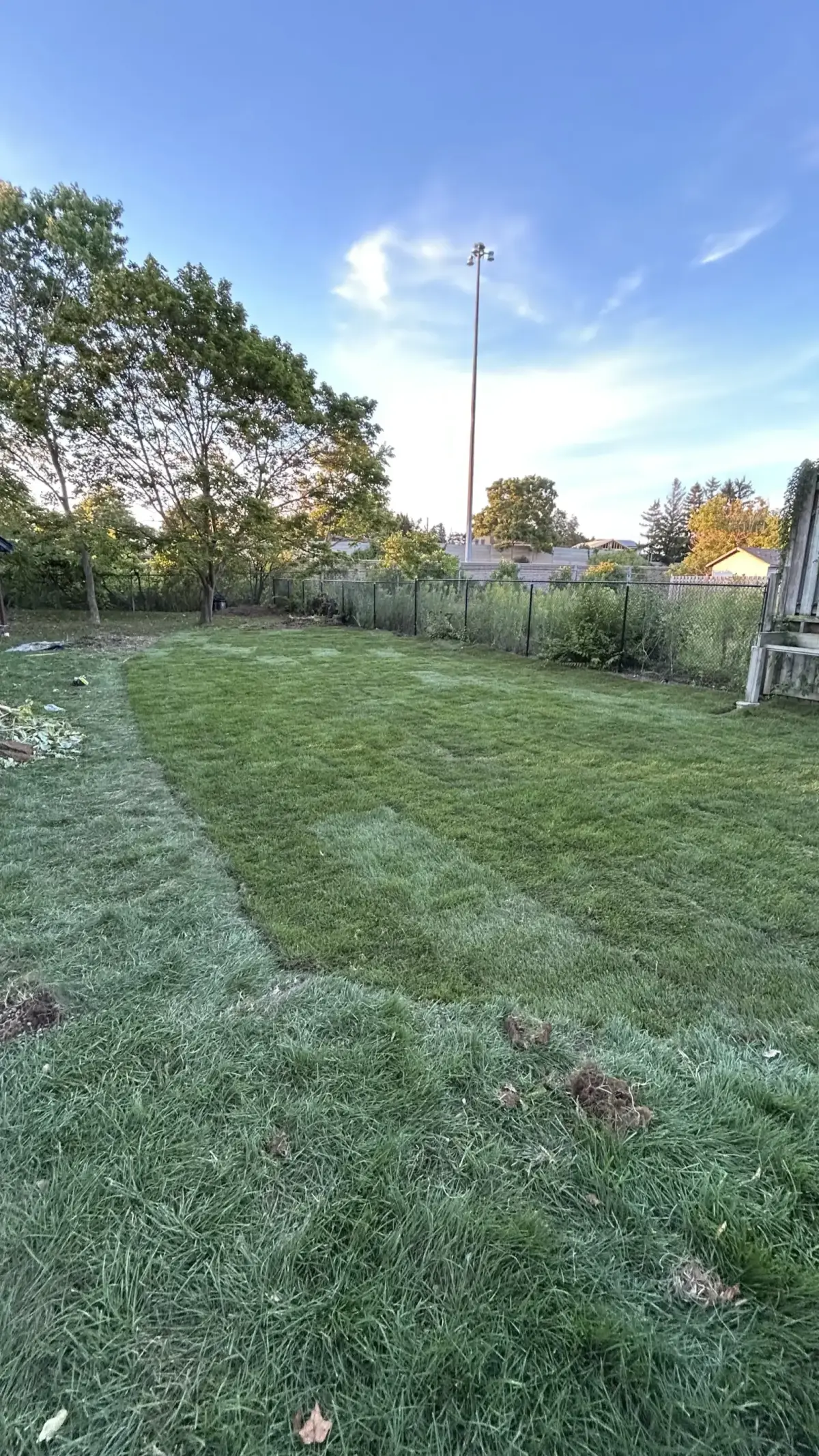 Clean sealed interlock patio after professional cleaning in Waterloo Ontario
